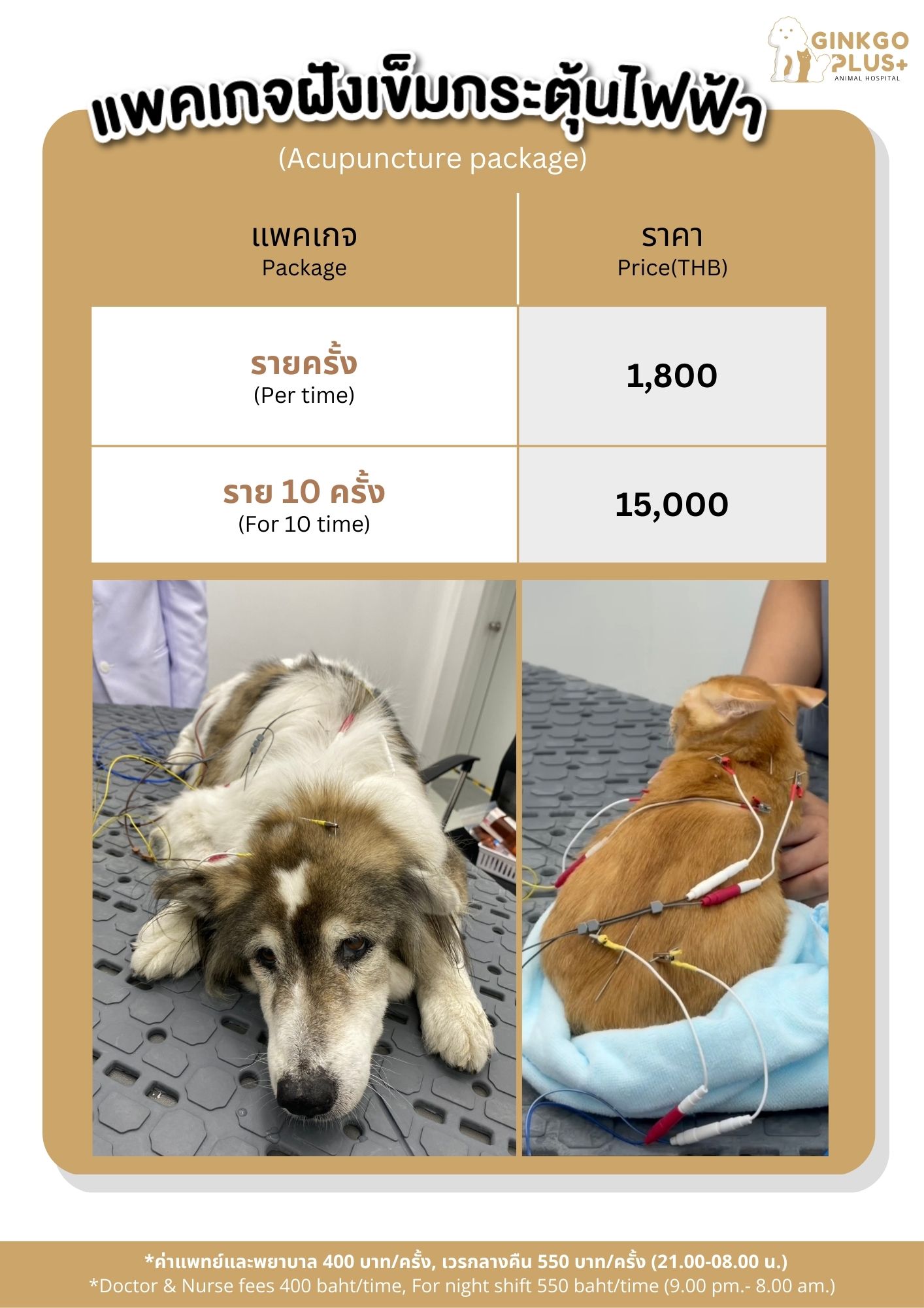 แพ็คเกจฝังเข็มกระตุ้นไฟฟ้า