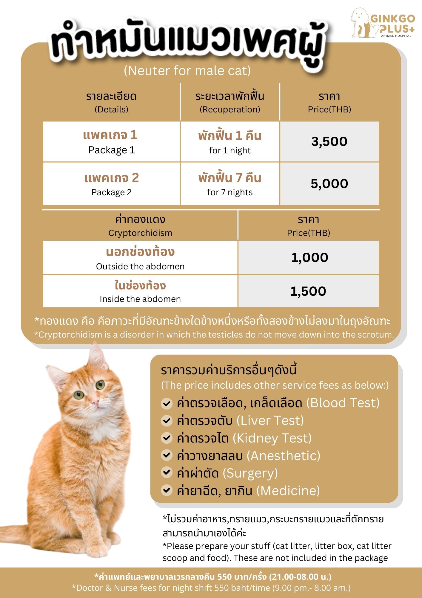 ทำหมันแมวเพศผู้