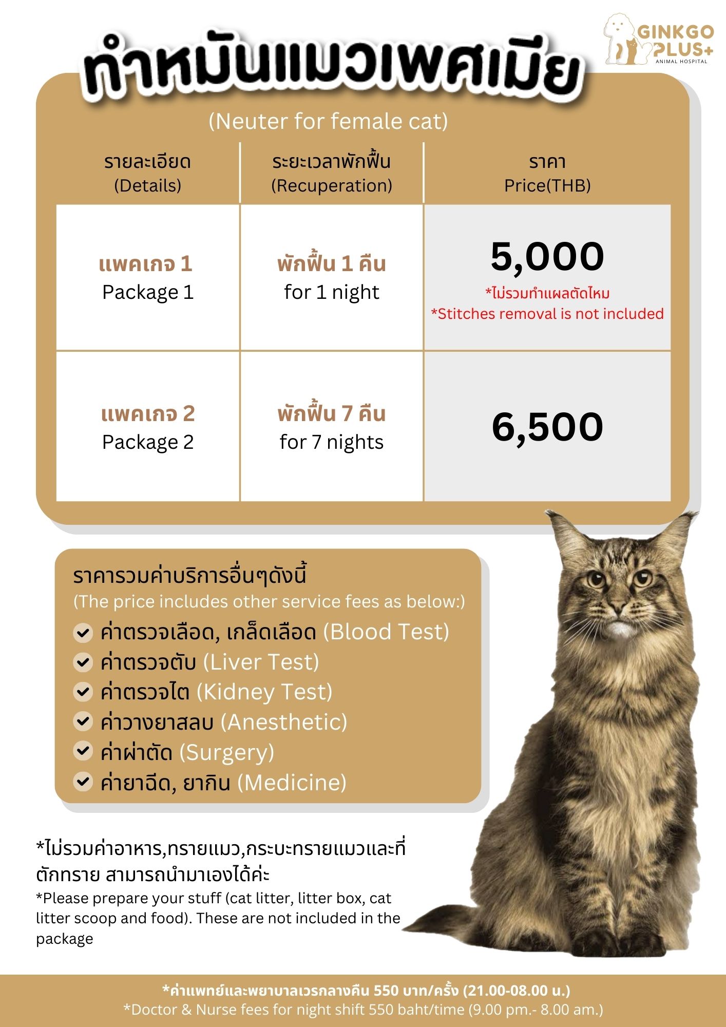 ทำหมันแมวเพศเมีย