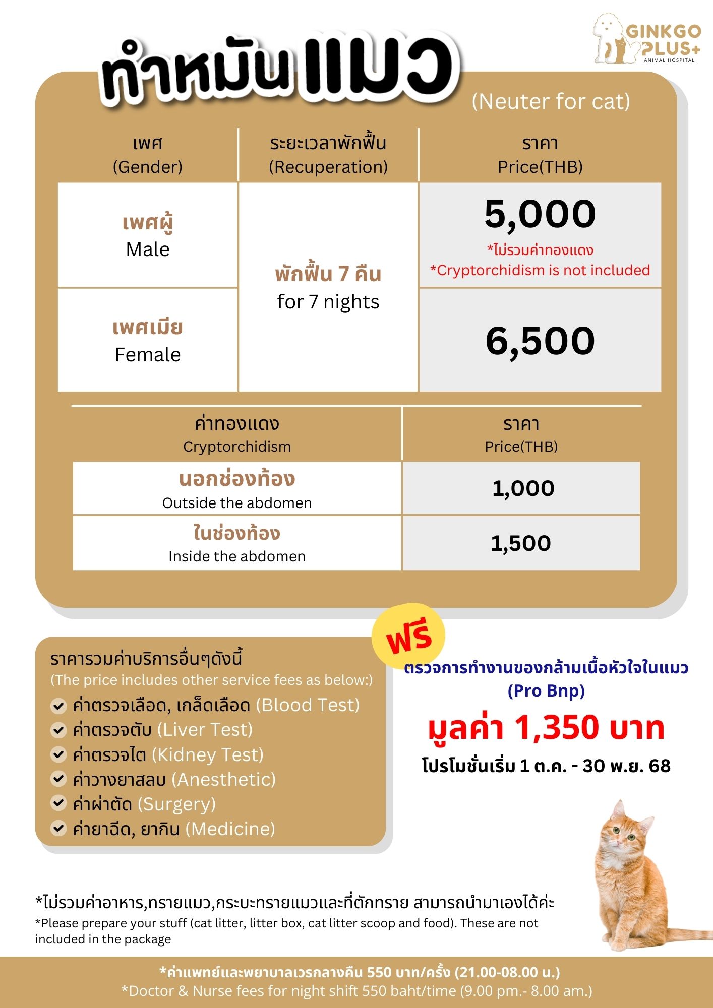 ทำหมันแมว (โปรโมชั่น)