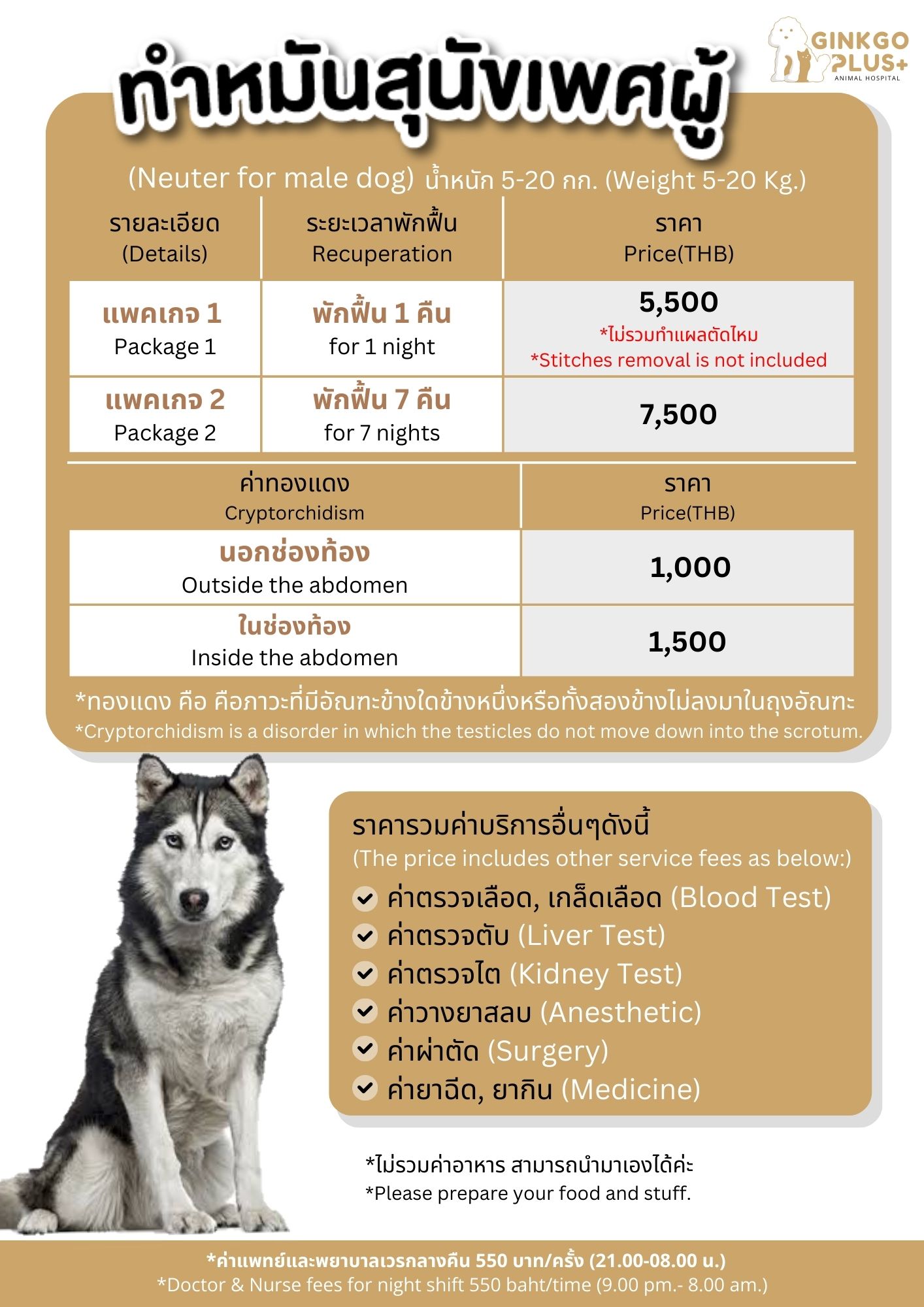 ทำหมันสุนัขเพศผู้