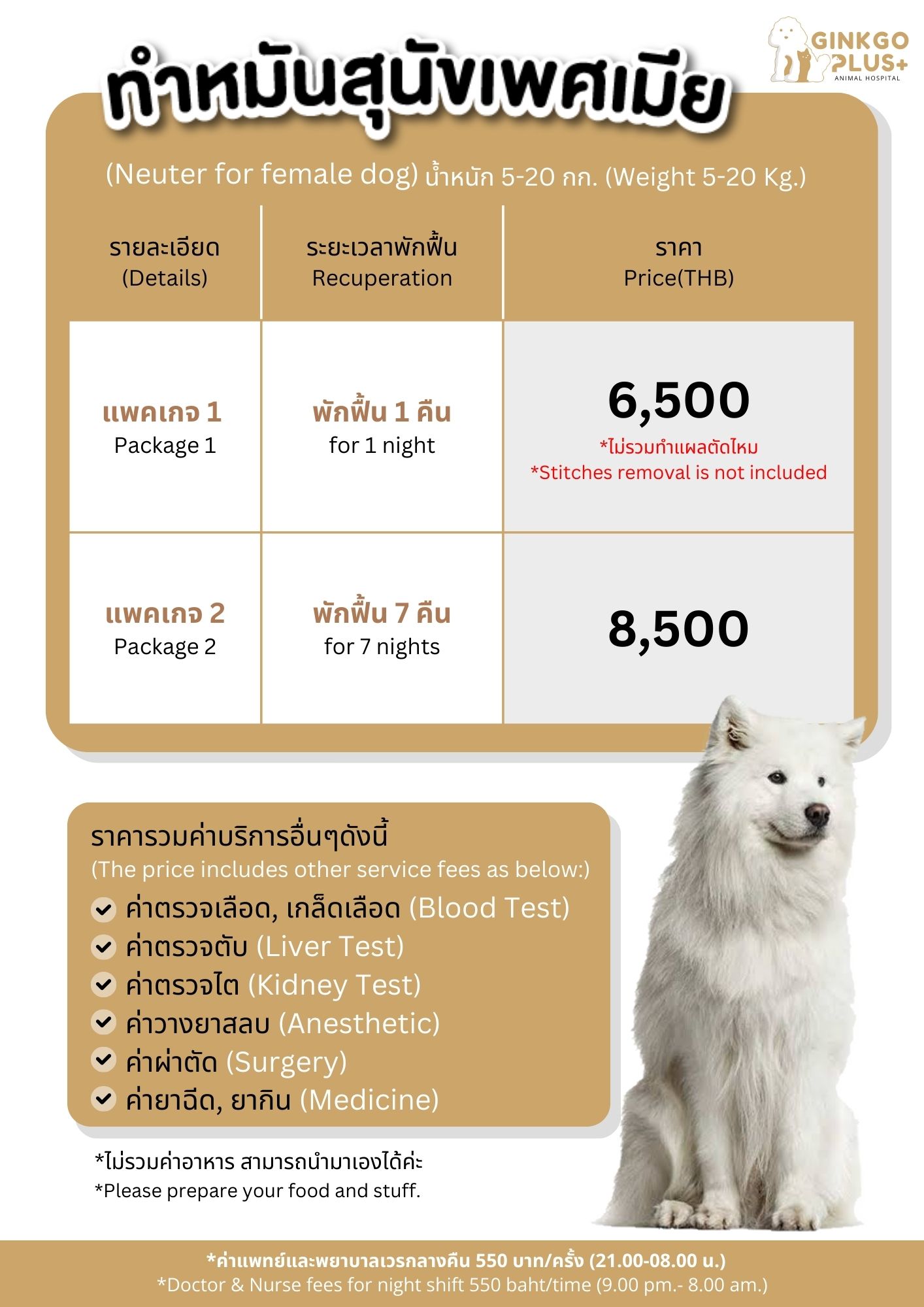 ทำหมันสุนัขเพศเมีย