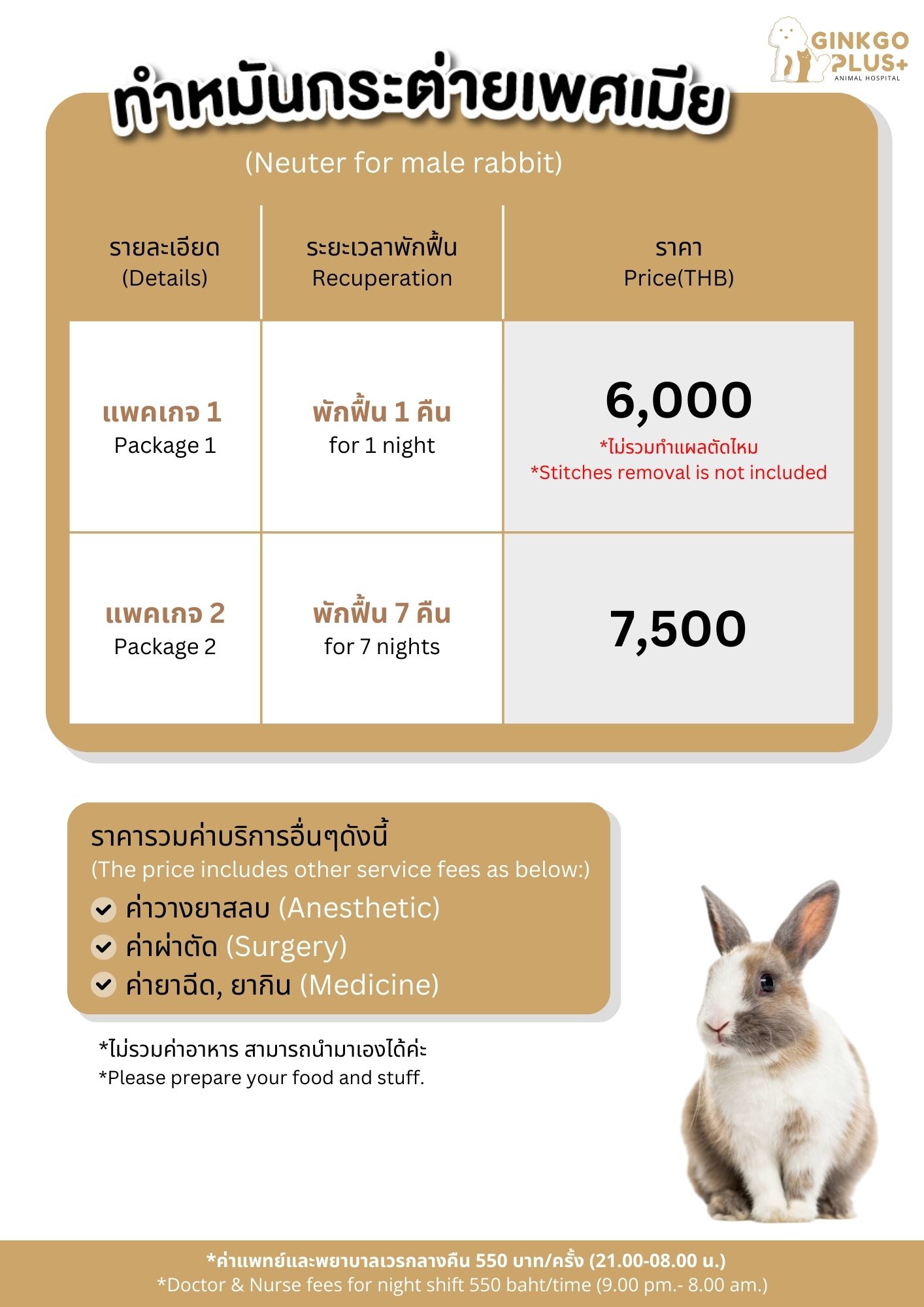 ทำหมันกระต่ายเพศเมีย