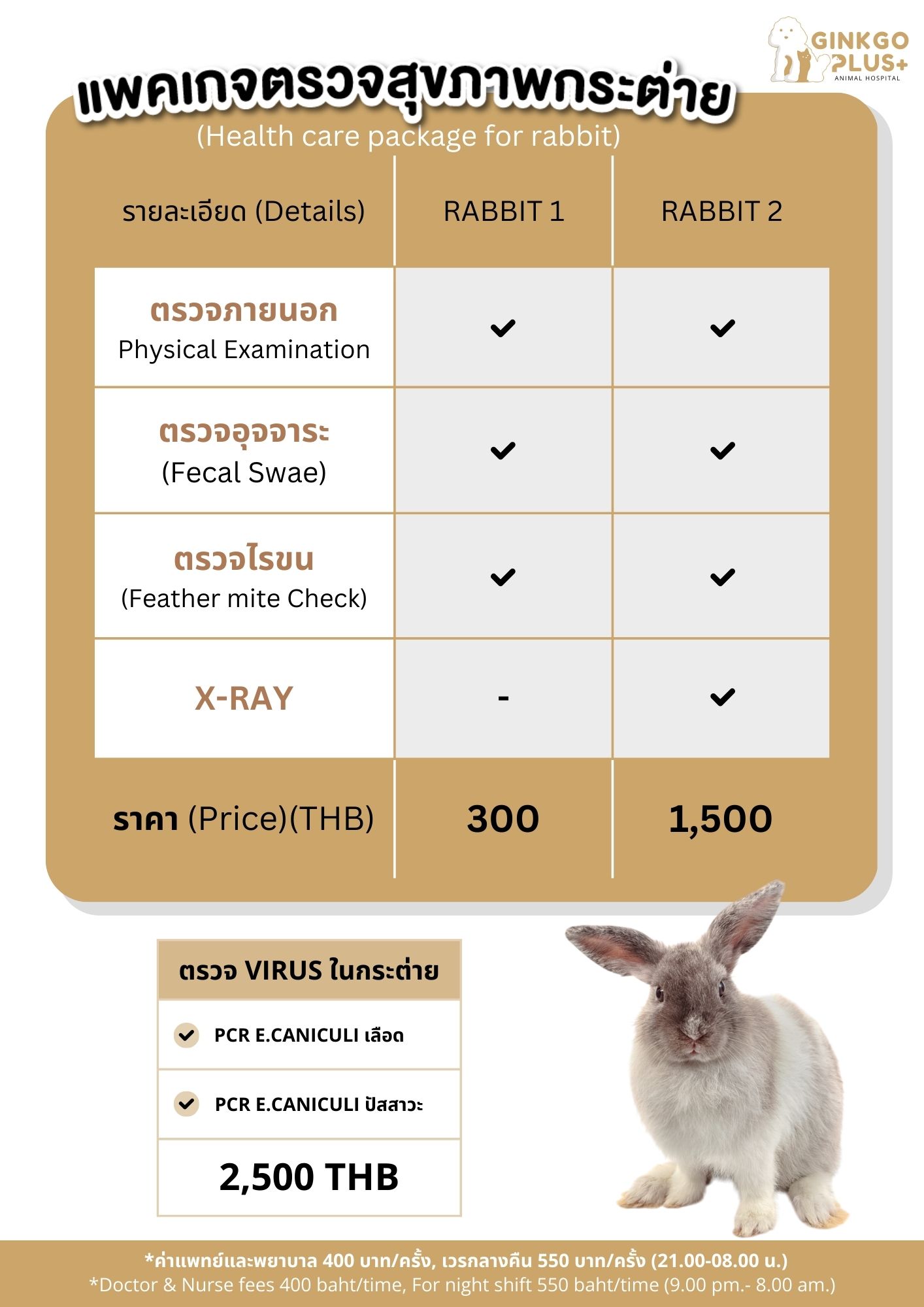 แพ็คเกจตรวจสุขภาพกระต่าย