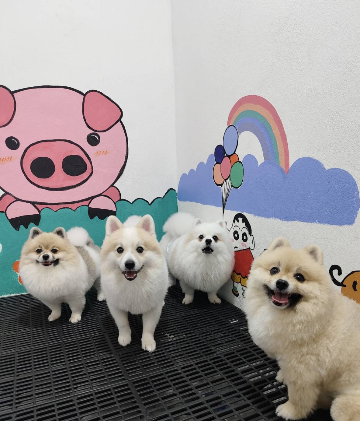 โรงแรมสัตว์เลี้ยง